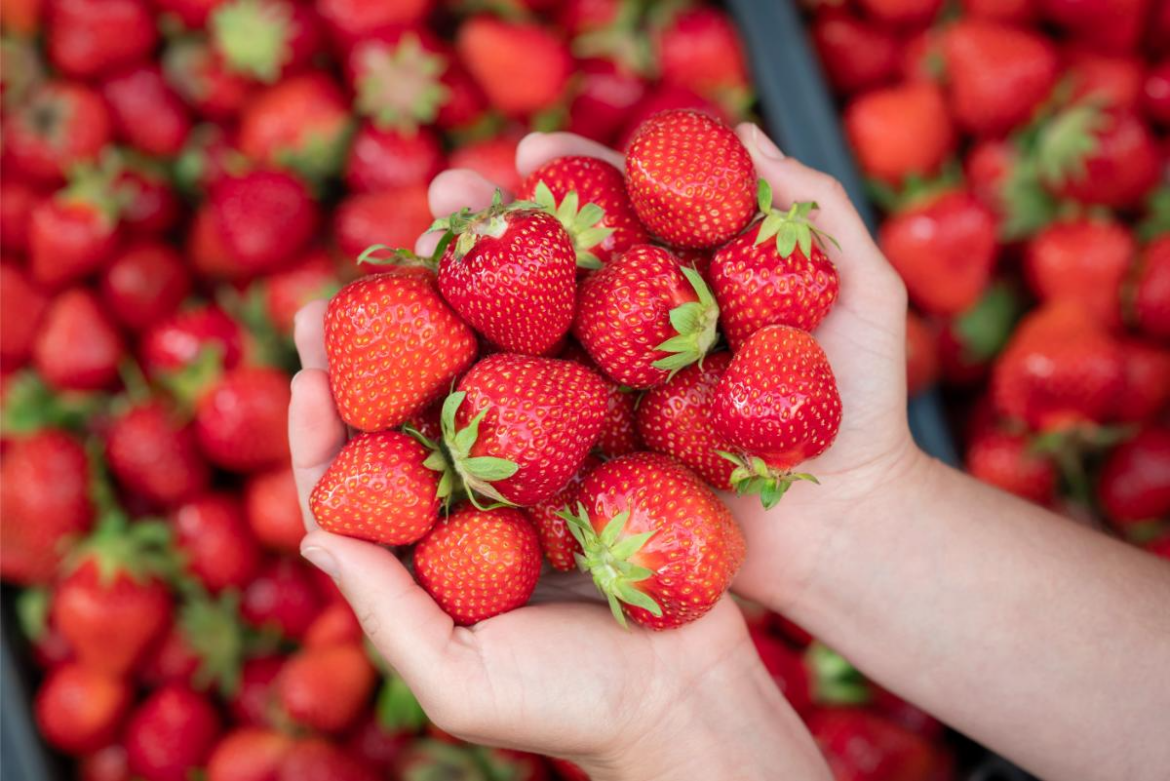 Top 5 Ways to Use Strawberries